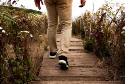 Person walking on nature path