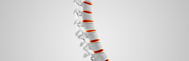 Healthy Spine Model Illustration